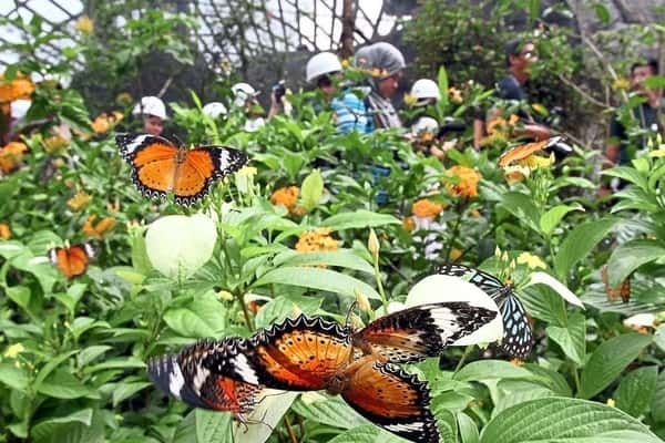 Libur Sekolah Tiba! Berikut Tempat Wisata di Bali Yang Cocok Untuk Anak - Anak