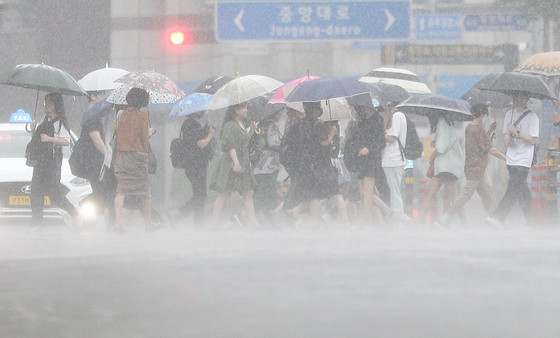 「今年の梅雨は尋常ではない...」2024年韓国の梅雨事情とは