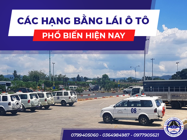 Cac hang bang lai o to pho bien 2024