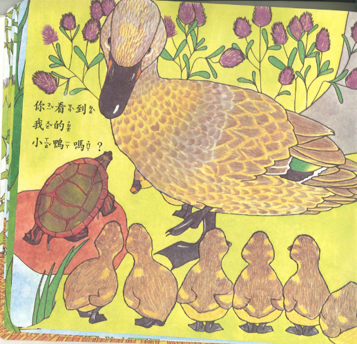 【親子共讀繪本-0-3歲】《你看到我的小鴨嗎?》訓練孩子觀察