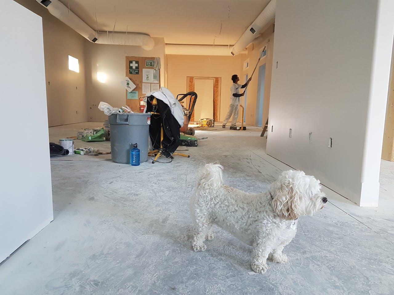 A dog standing on the floor in a room with people in the background

Description automatically generated