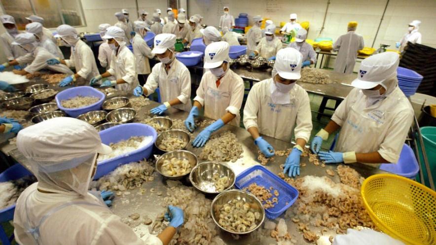 Vietnamese workers process shrimp at the Camimex State owned processing plant in Ca Mau city in southern Vietnam Tuesday, July 22, 2003.