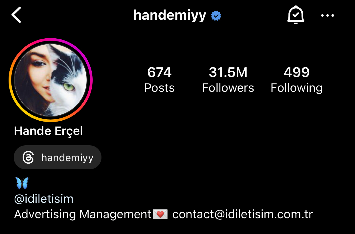 Hande’s Bio has one Emoji that represents her Plus her Professional Contact Details.