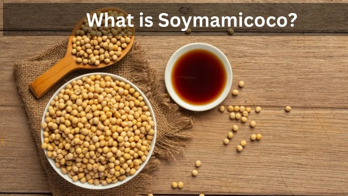 Soymamicoco