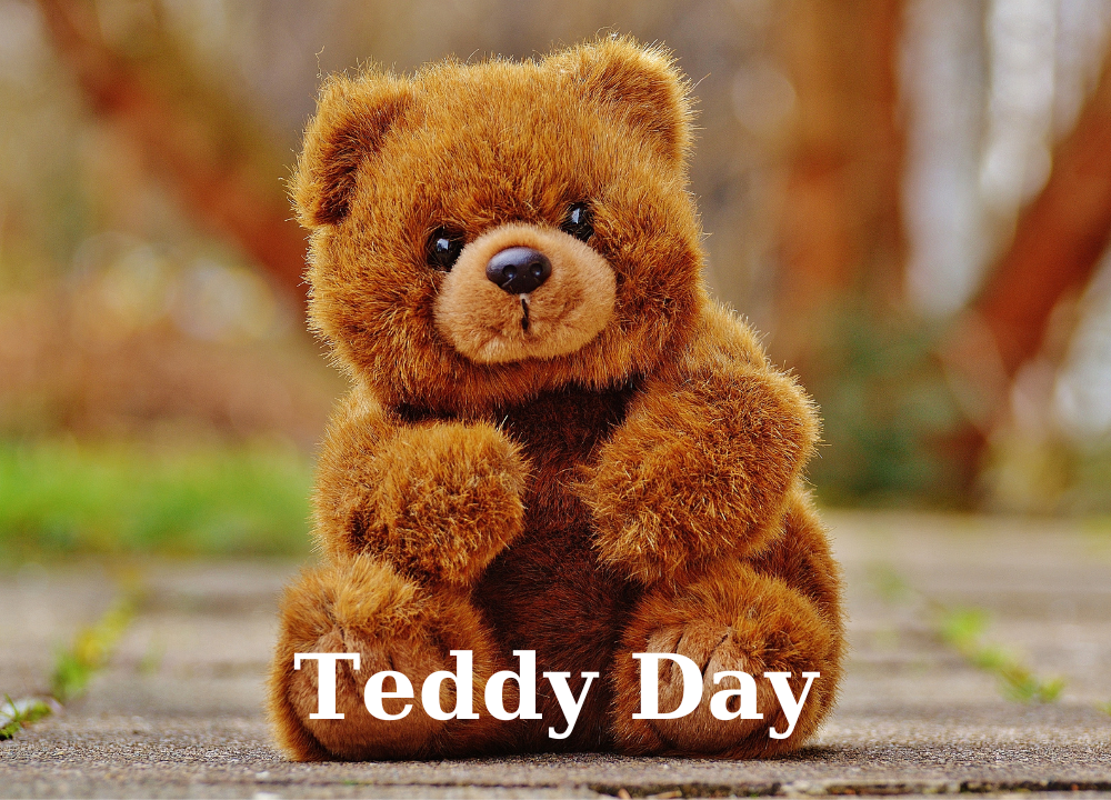 Teddy Day : Valentine Week 