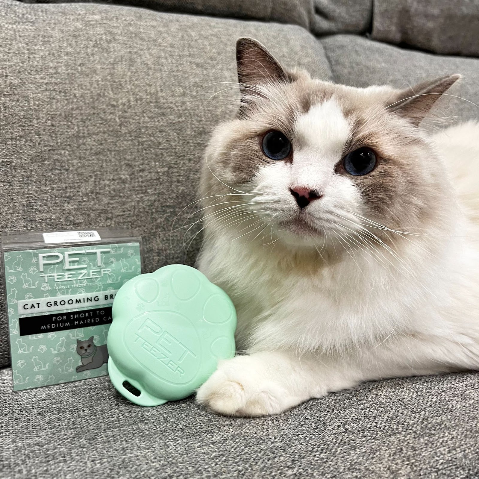 療癒梳毛時光！Tangle Teezer-PET TEEZE