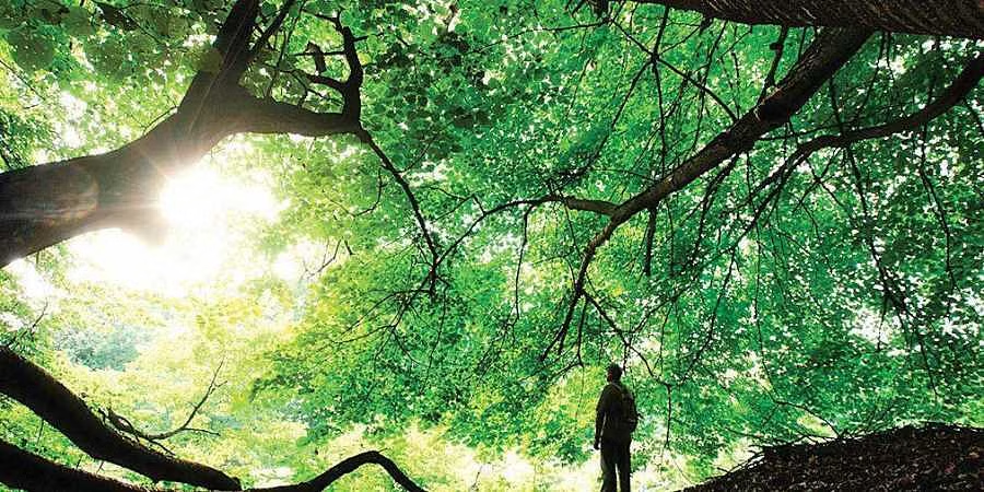 Connecting With Nature Outdoor Escapes