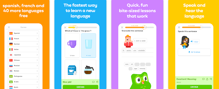 Duolingo Cross Platform App
