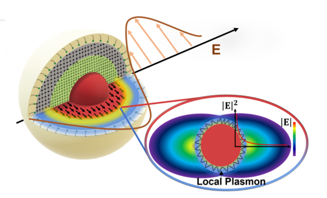 Diagram of a structure of a plasmon Description automatically generated