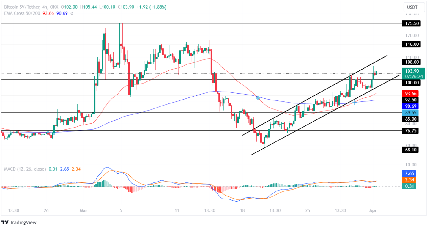 Bitcoin SV Price Analysis