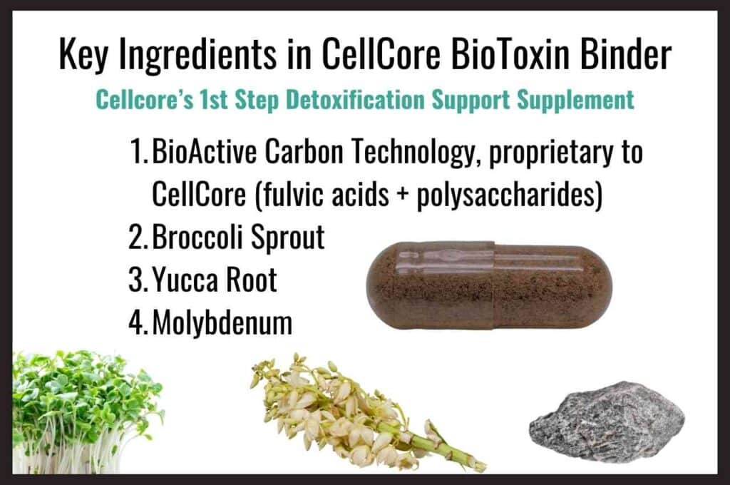 Detoxify Naturally: Cellcore Biotoxin Binder for Cleaner Living  4