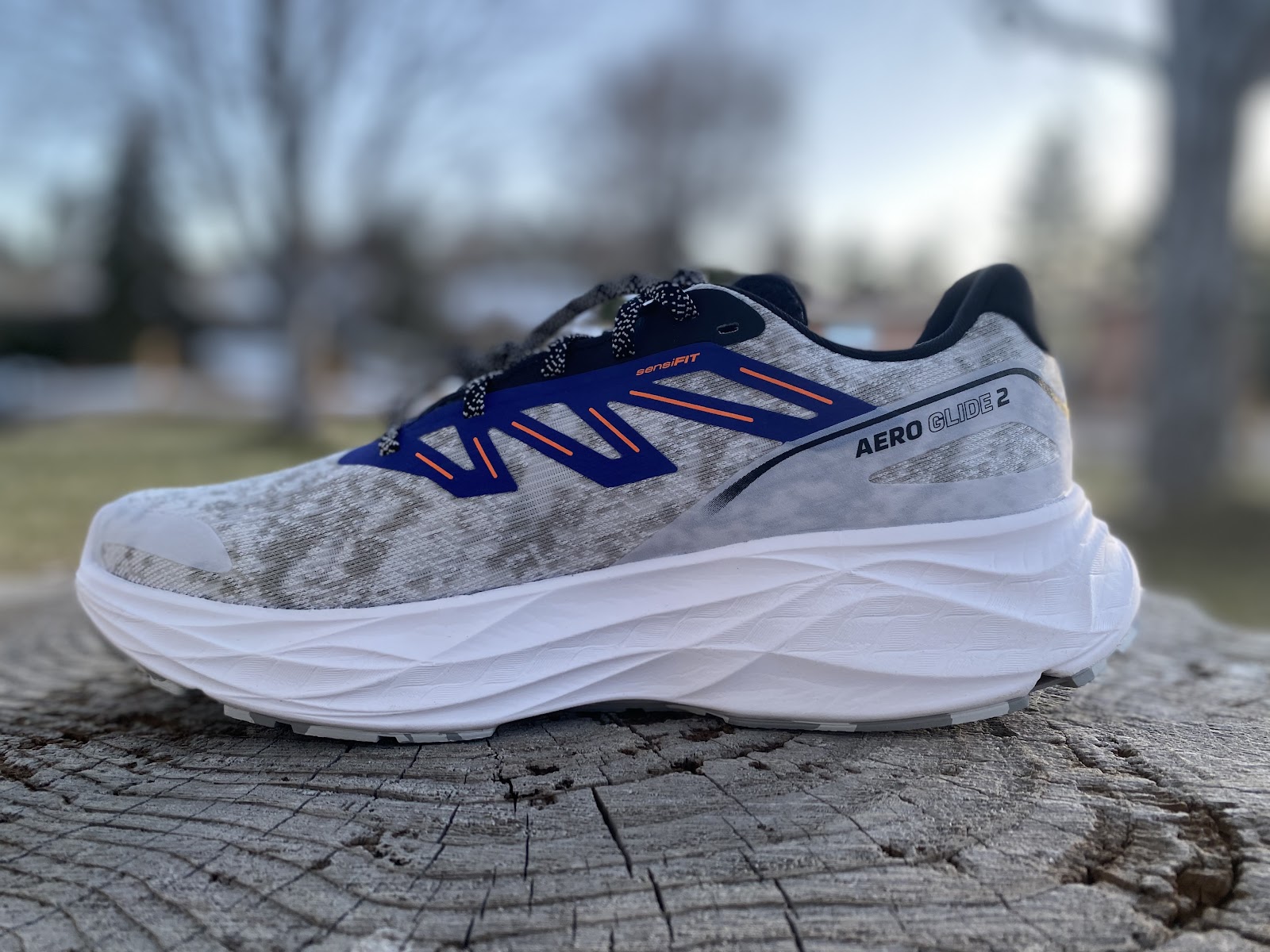 Road Trail Run: Salomon Aero Glide 2 Review: 4 Comparisons