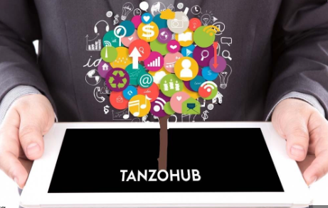 Tanzohub
