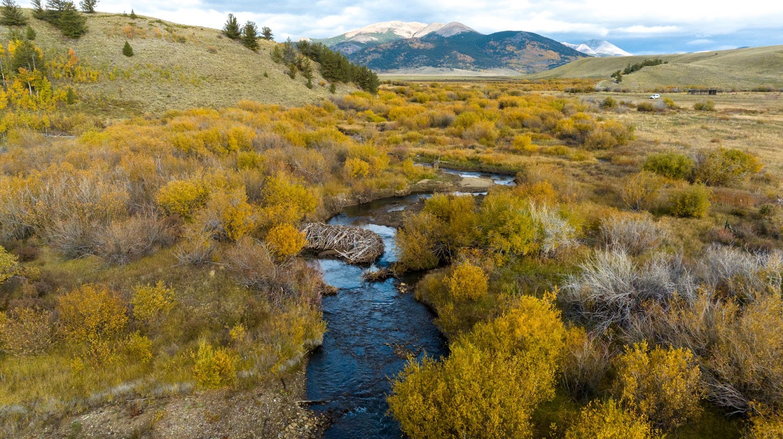 Photo of Tarryall Creek running through a field with mountains in the background.