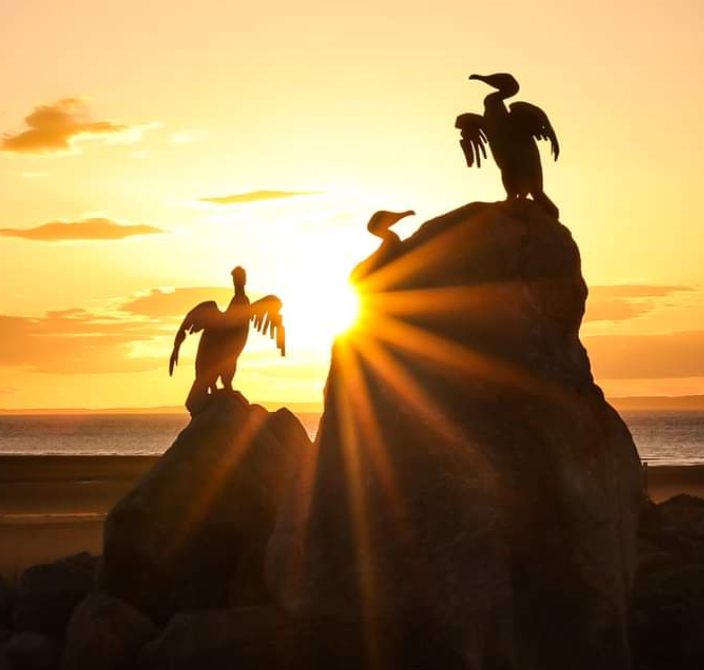 Birds on rocks with the sun shining through

Description automatically generated