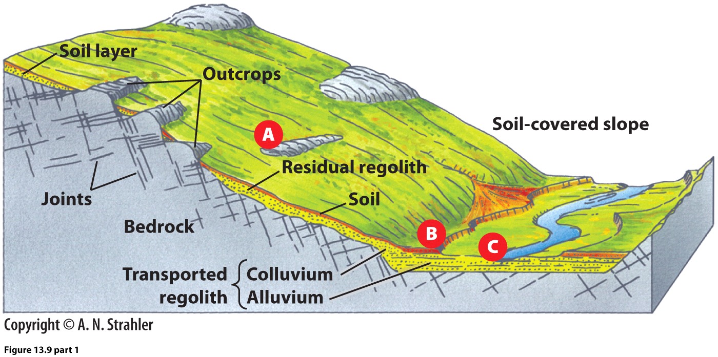 figure 13.11 copy.jpg