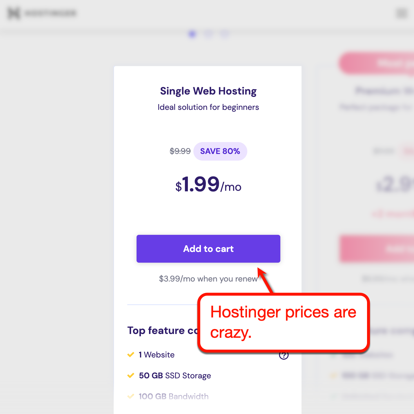 Hostinger Single Web Hosting price