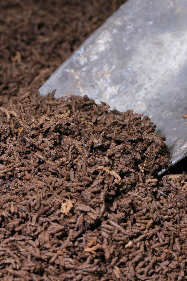 Can You Use Worm Castings And Fertilizer Together?