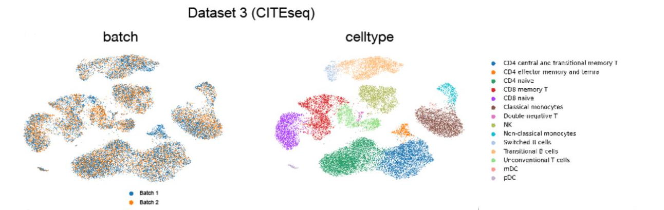 Deep learning for single-cell sequencing: a microscope to see the diversity of cells