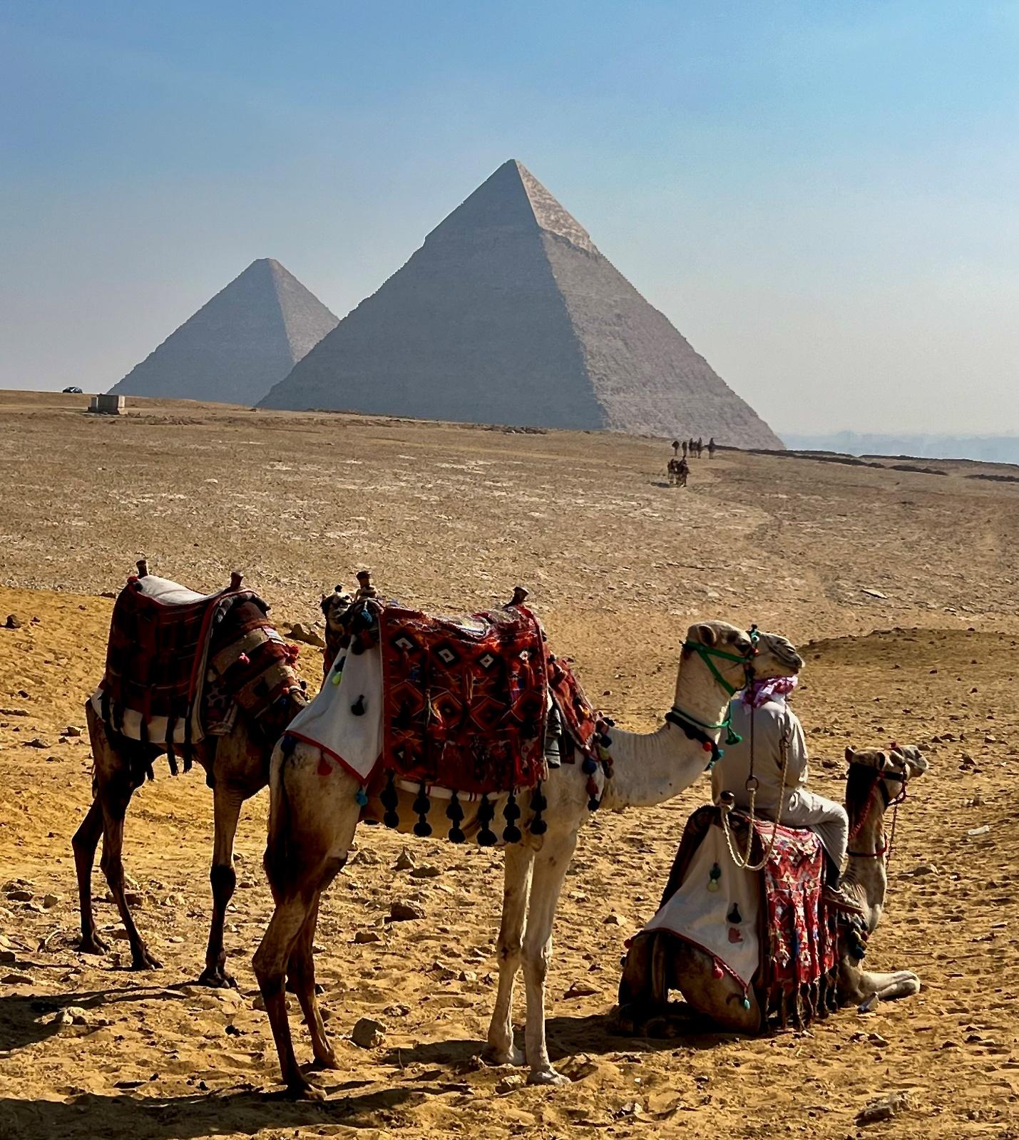 Camels in the desert with a pyramid in the background

Description automatically generated