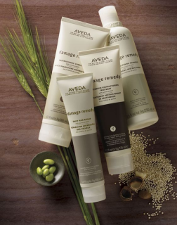 Aveda Damage Remedy Restructuring Shampoo 