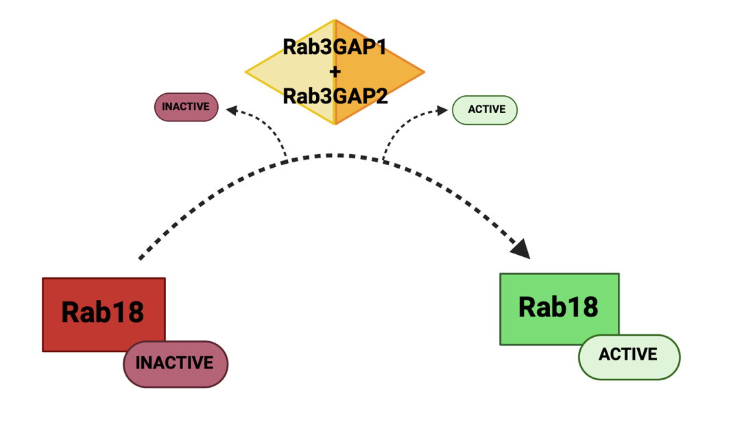 A diagram of a complex activity Description automatically generated