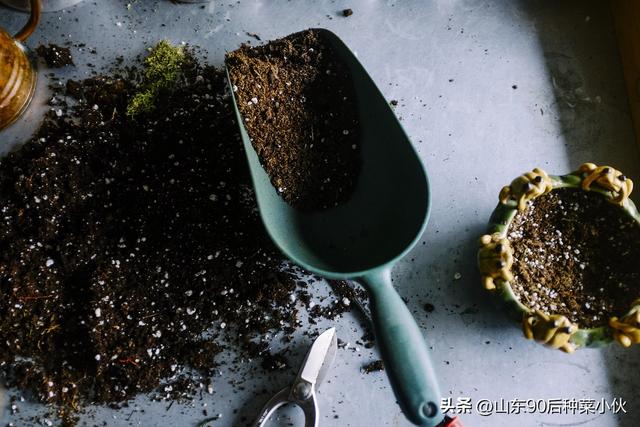 How to choose the right container for growing vegetables at home as a beginner