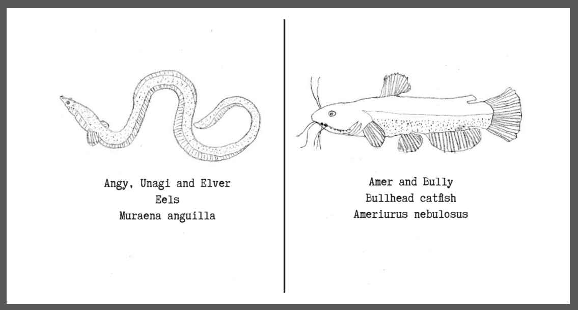 A close-up of a fish and a snake

Description automatically generated