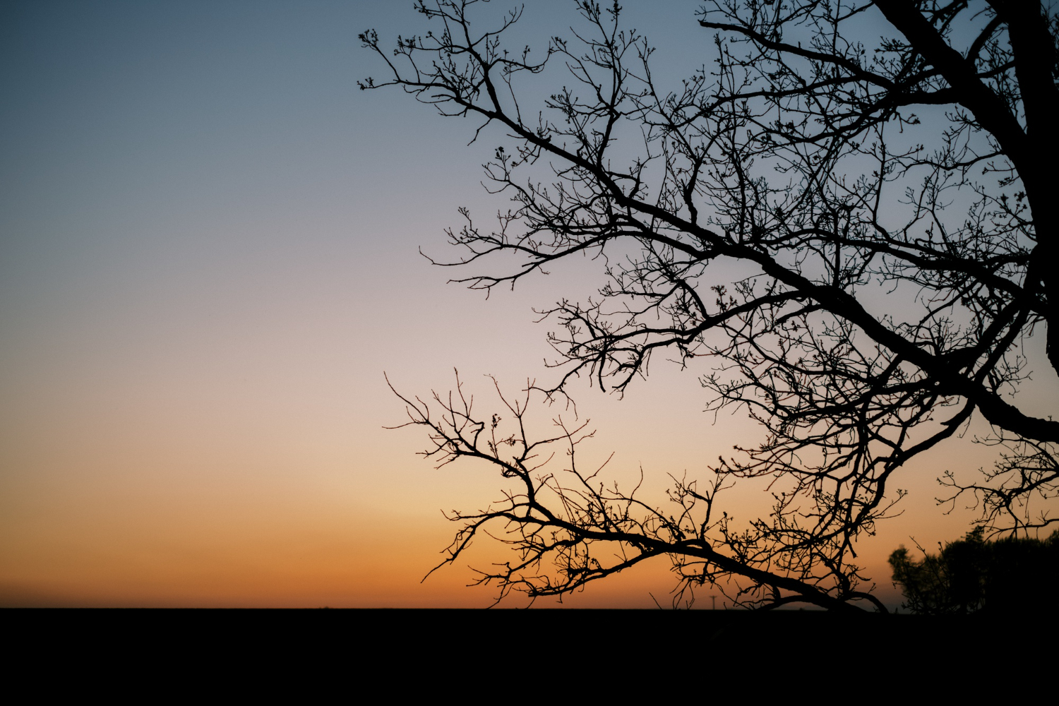 Secret to wake up before sunrise - a glorified practice in most religions & cultures. What is so mysterious about the time around 5 AM