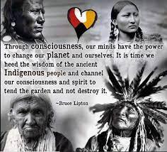 Pin by Sherabella on Natives | Indigenous peoples day, Native american  quotes, Native american wisdom