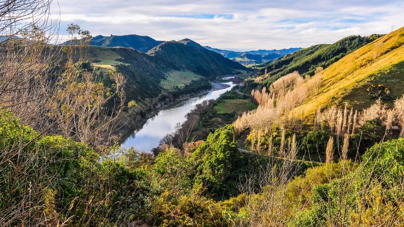 A winding river flows through a lush, hilly landscape under a partly cloudy sky in Whanganui National Park.