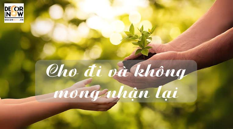 Cho đi và không mong nhận lại