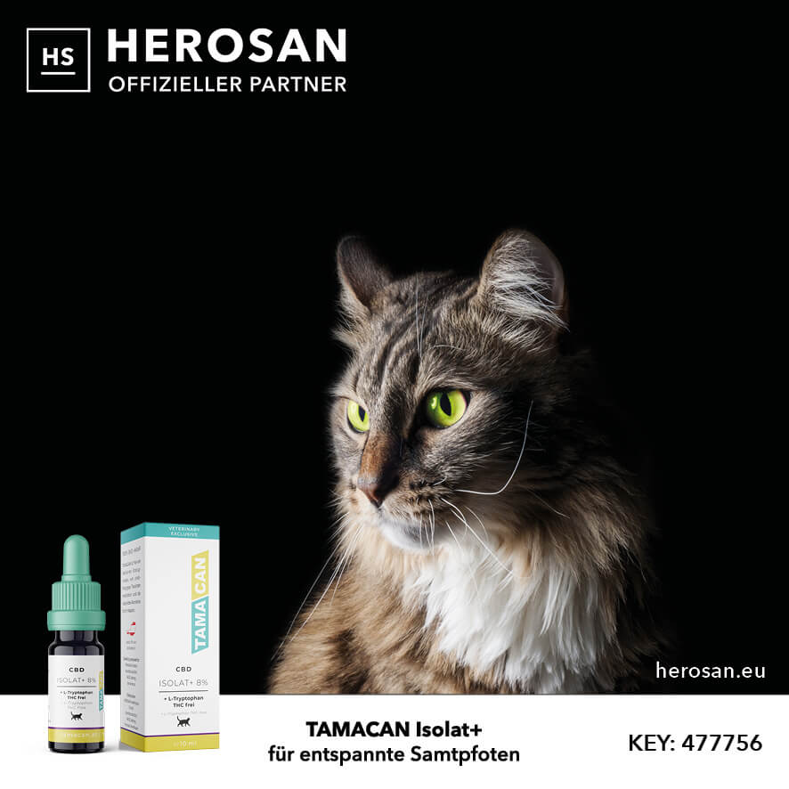 cbd öl mit tryptophan fuer gestresste katzen