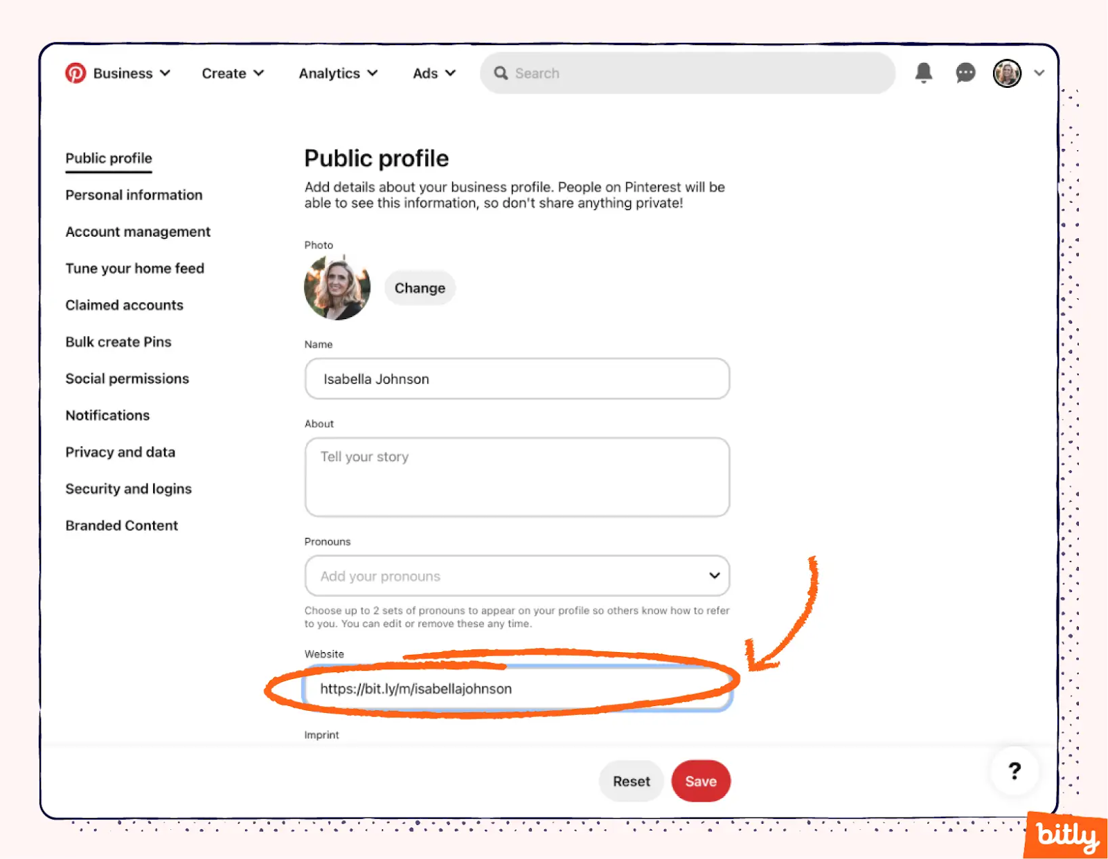 An example of where to add your Bitly link on the Pinterest site