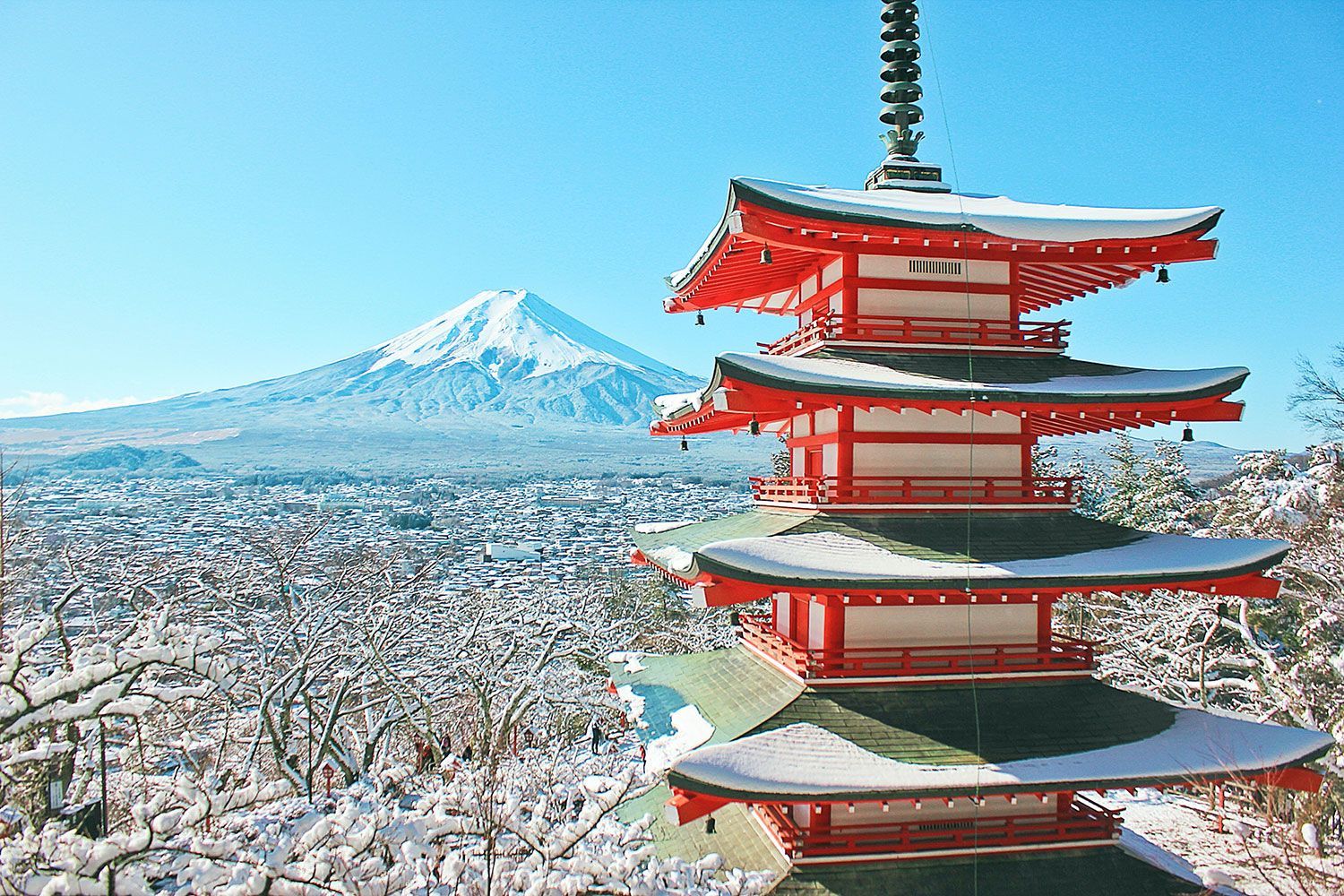 Will Japan actually open to unrestricted tourism in October? | Ski Asia