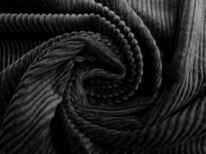 Elephant Corduroy