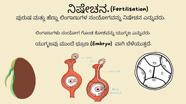 7th Standard Science Chapter-12 Notes