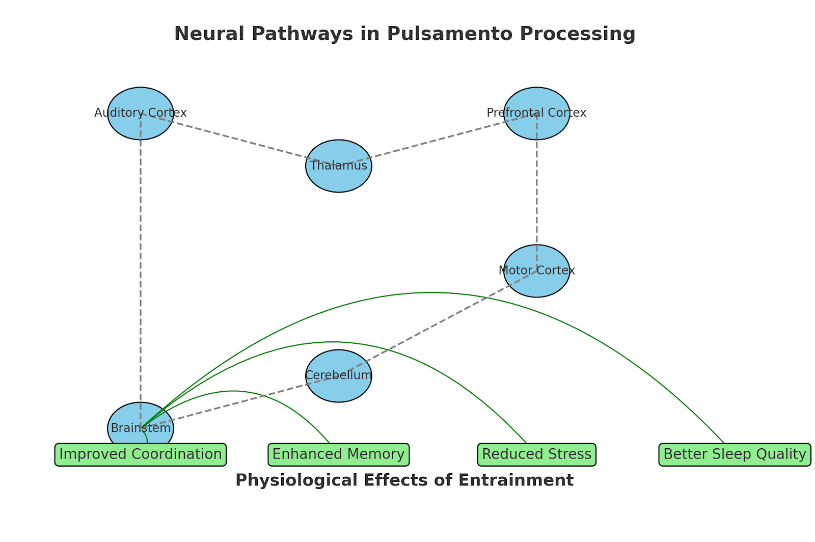 The Science of Pulsamento