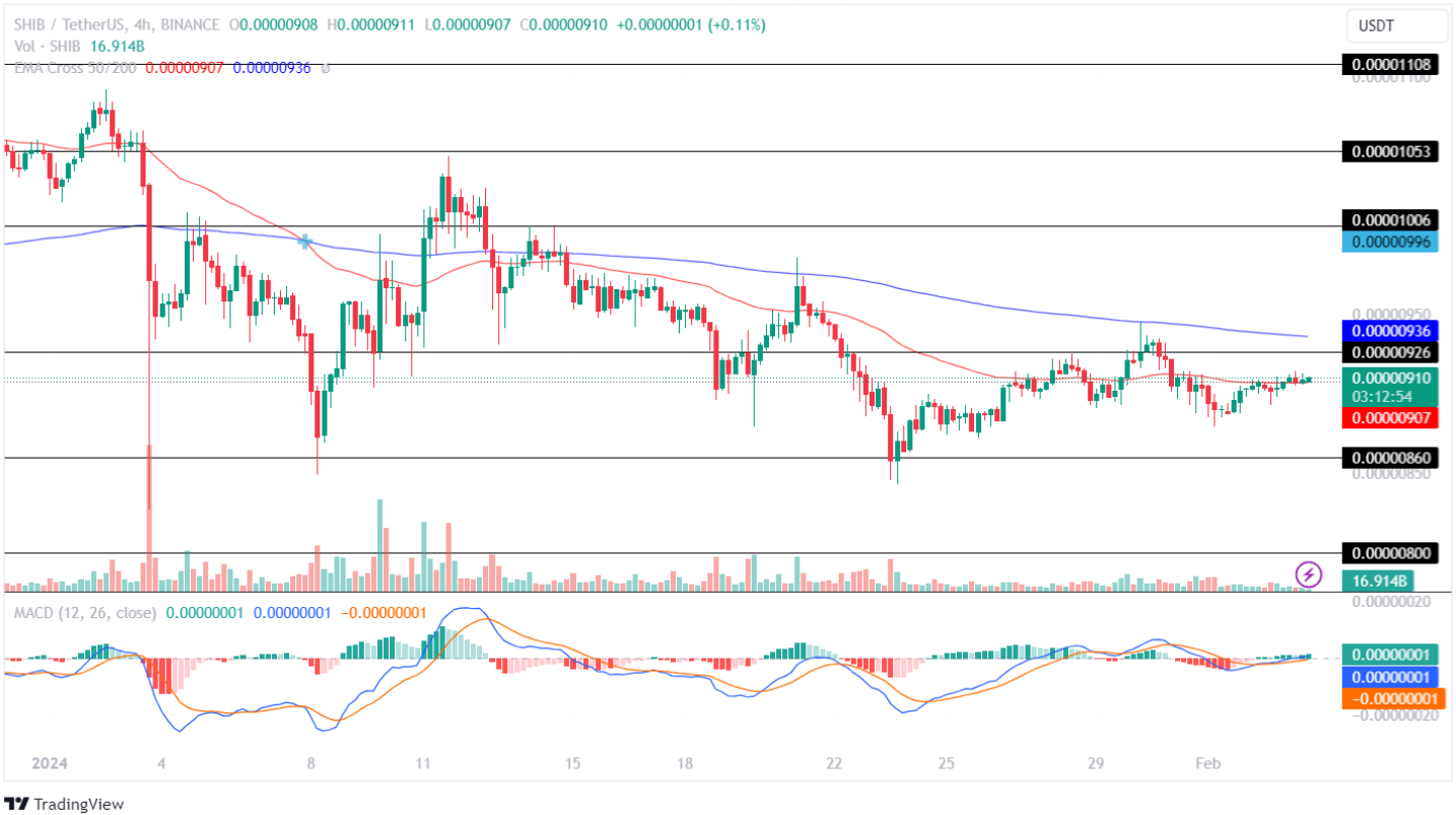 Shiba Inu Price Analysis