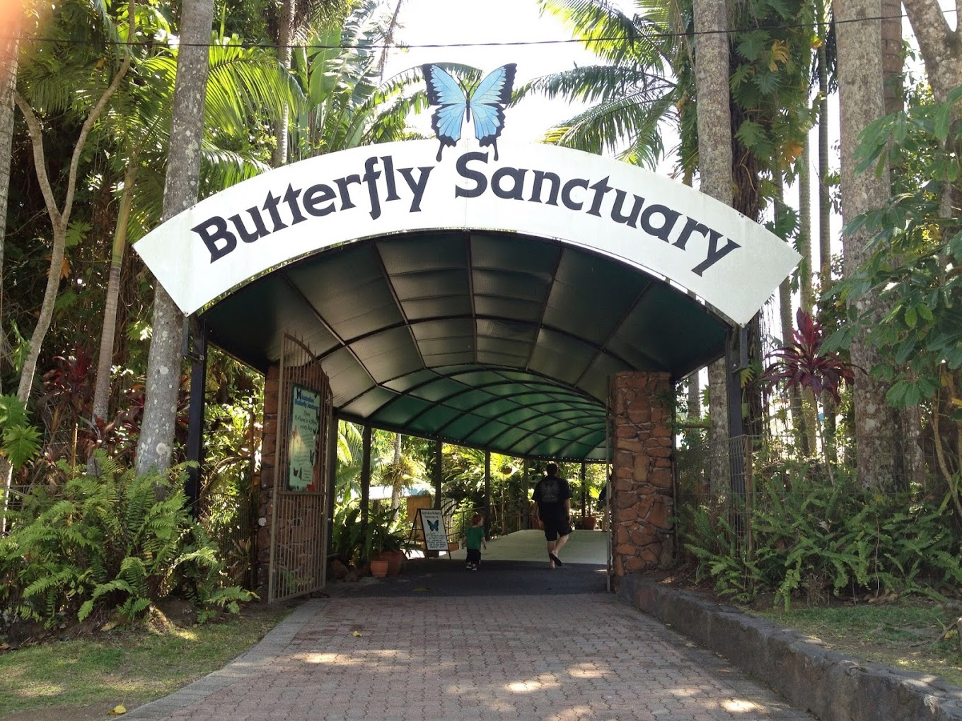 Australian Butterfly Sanctuary