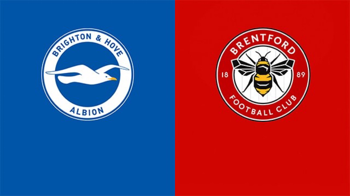 Giới thiệu tổng quan về 2 đội Brentford vs Brighton