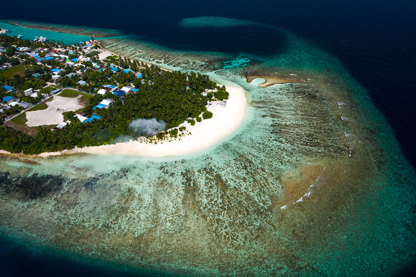 Photo Credit: Wild Maldives via Google Images