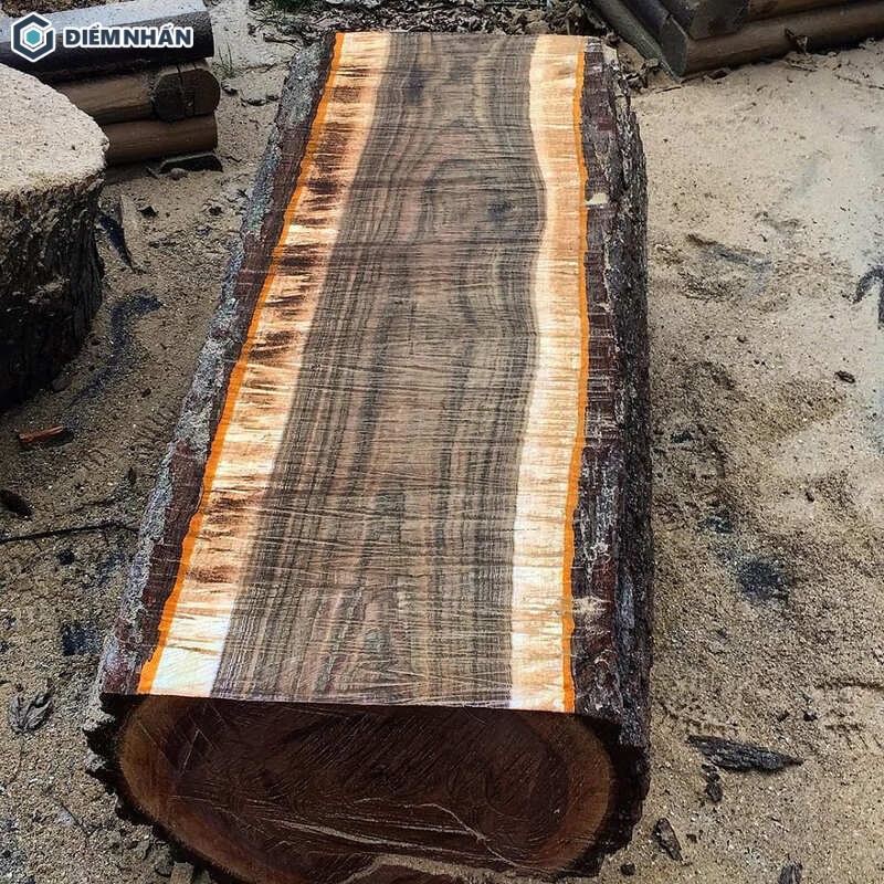 Dễ mua phải gỗ giả, gỗ kém chất lượng do giá trị kinh tế cao