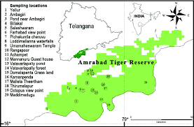 Amrabad Tiger Reserve