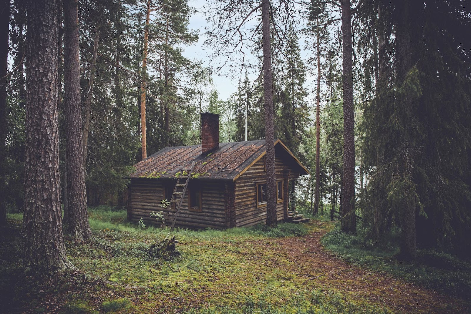 Cabin in the forest - What Is Off-Grid Living