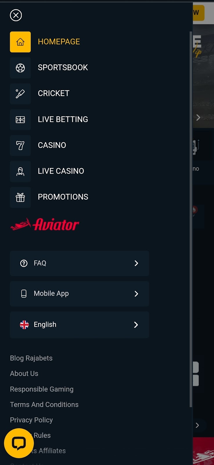 rajabets website