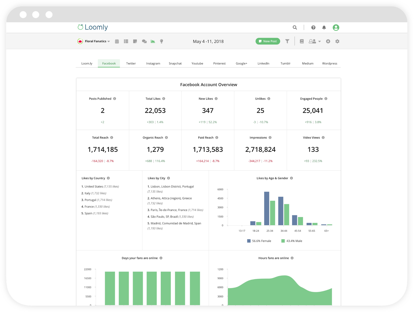 Analytics Reporting with Loomly