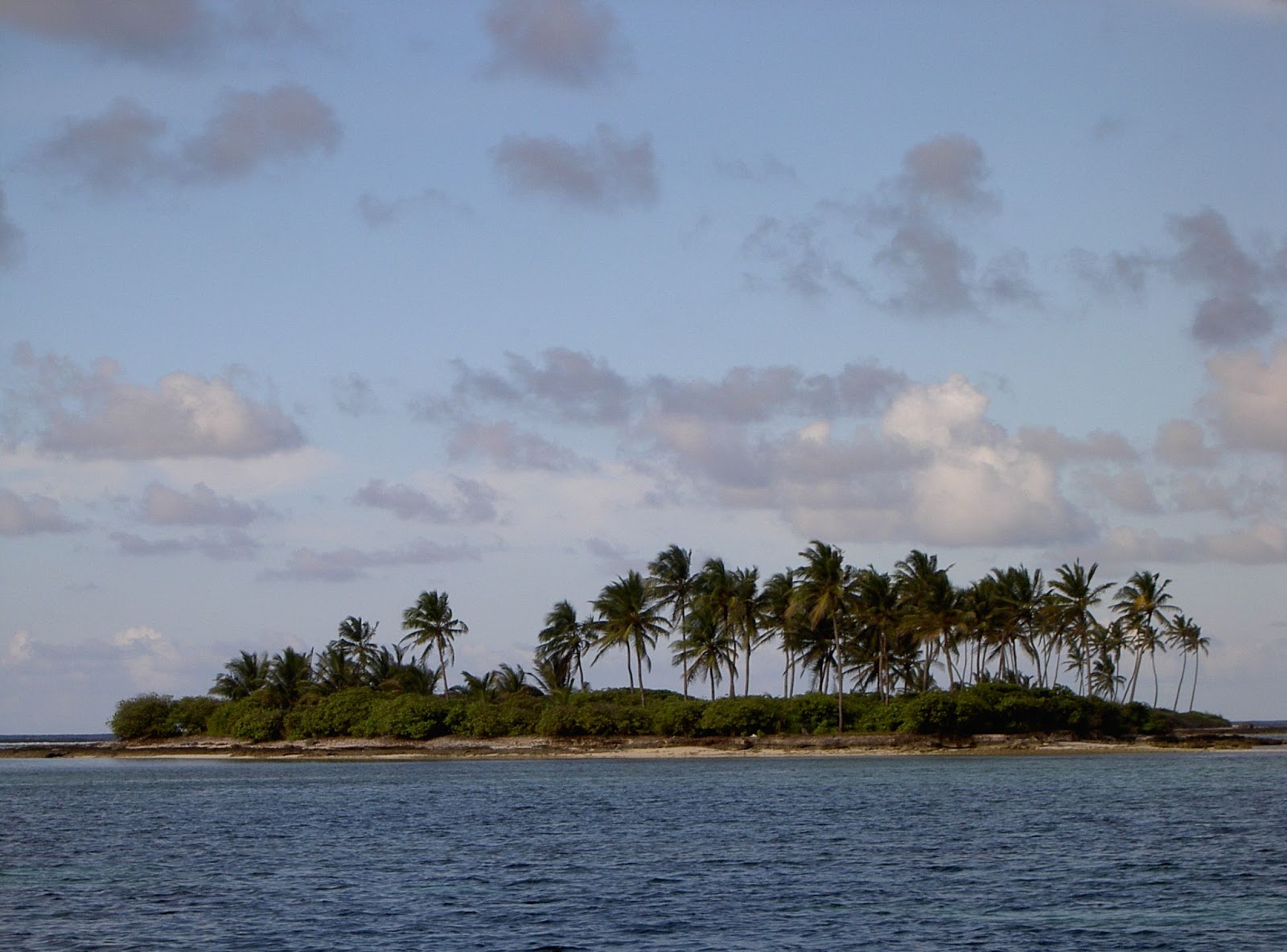 An island of Lakshadweep Islands 
