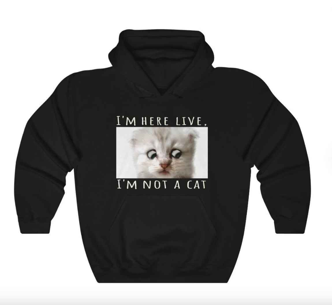 meme sudadera con capucha