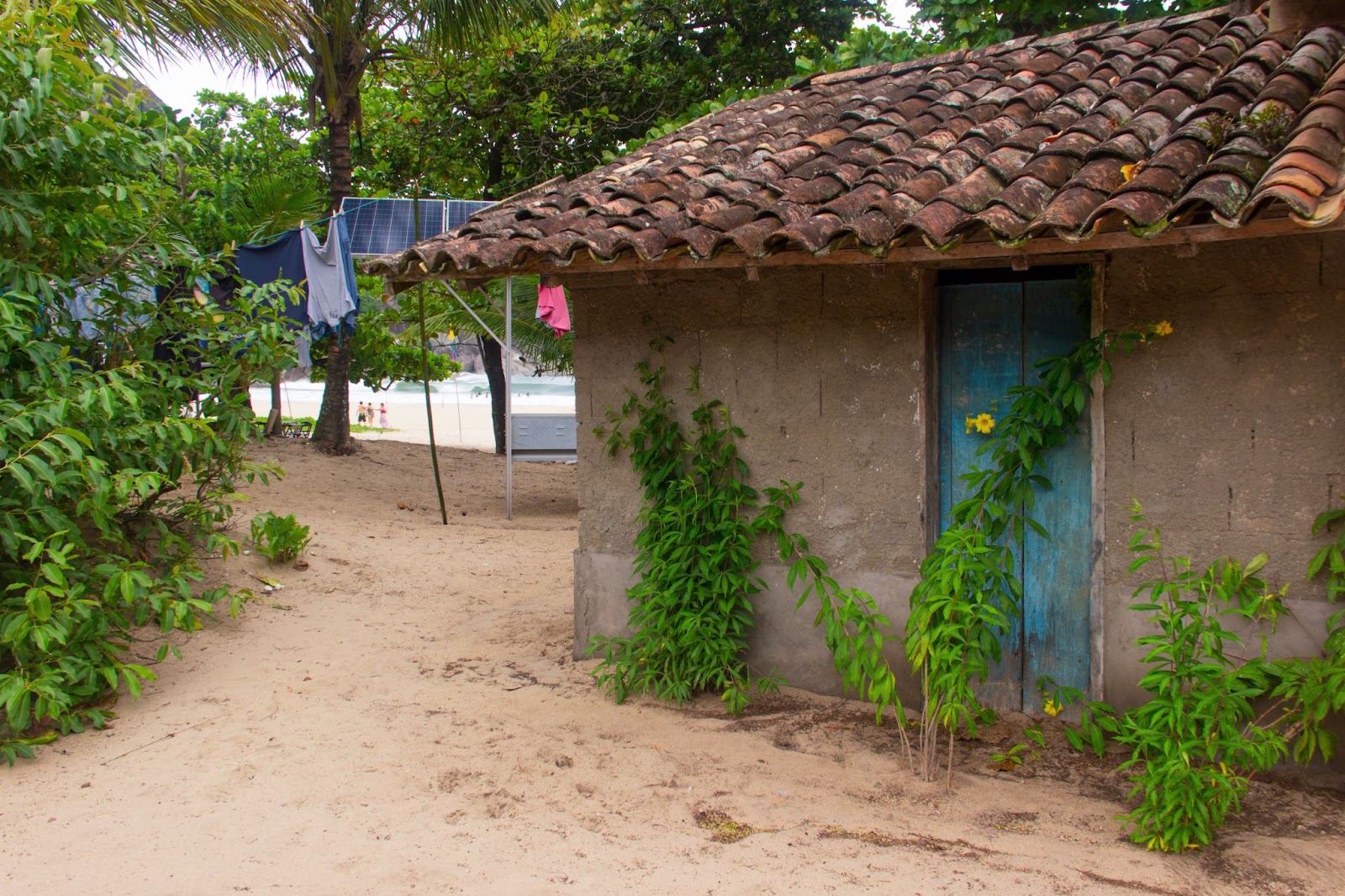 Pequena casa rústica feita de madeira e cimento, estrutura de moradia comum nas comunidades tradicionais caiçaras. A construção está em um terreno de areia cercado por vegetação verde.